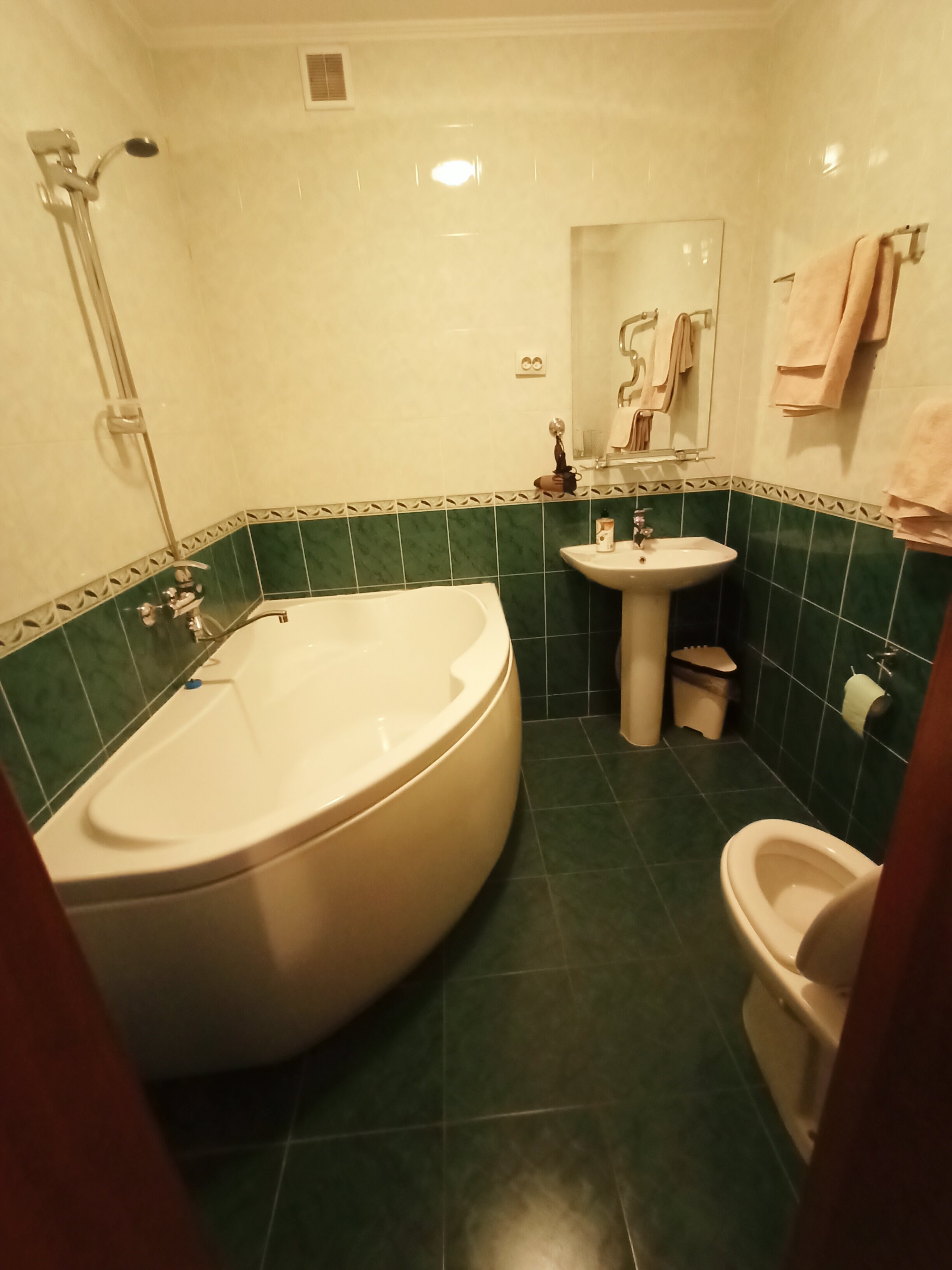 Фото Рыжий пёс