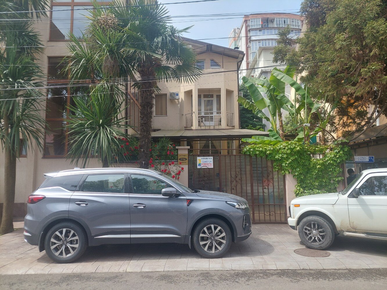 Фото Сапфир