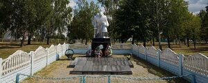 Братская могила павших в Великой Отечественной войне (Гомельская область, Калинковичский район, агрогородок Капличи, Советская улица), памятник, мемориал в Гомельской области