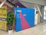 Ozon (Suvorova Street, 2), parcel automat