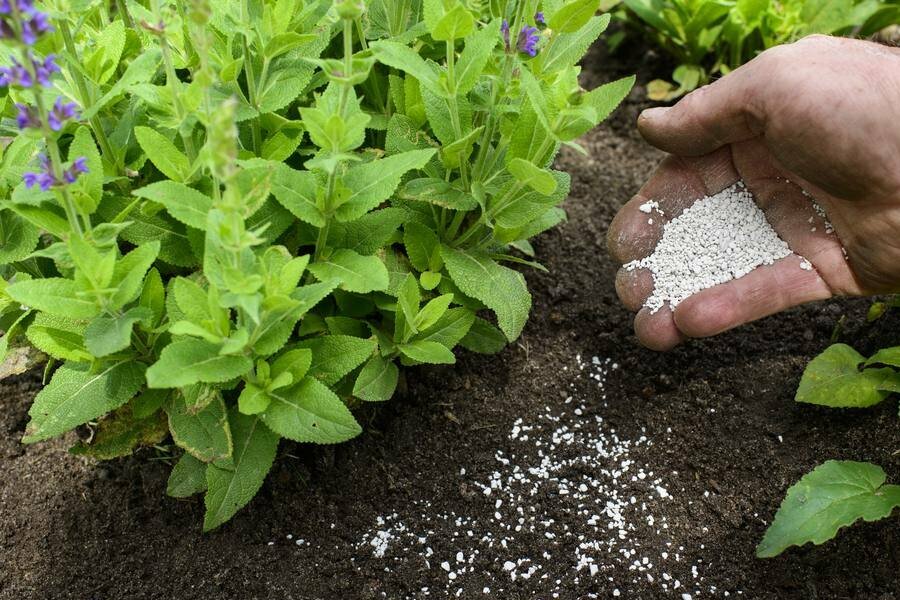 Fertilizers Blue Deebaj fzco, Dubai, photo