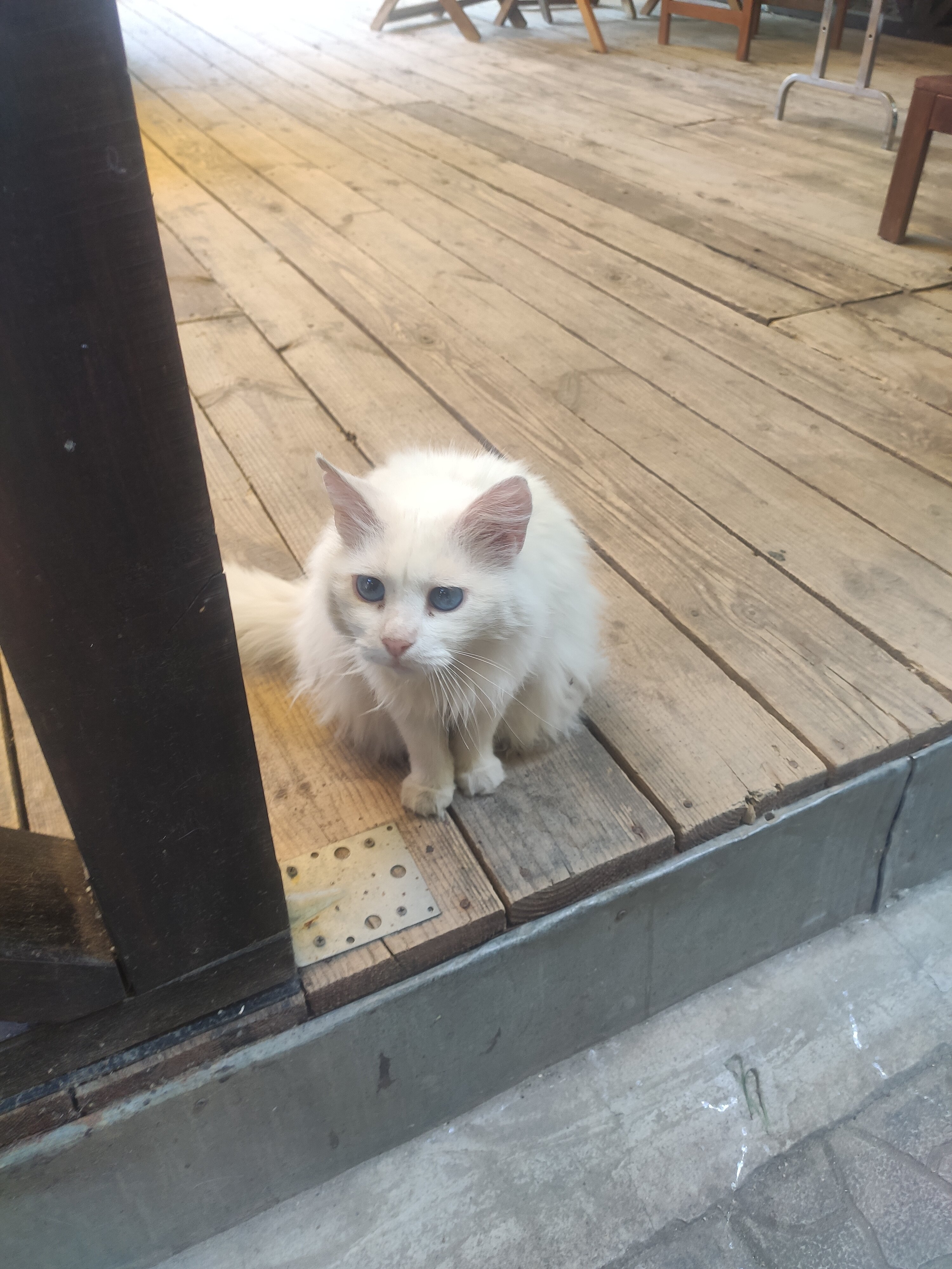 Фото Усадьба Инжир