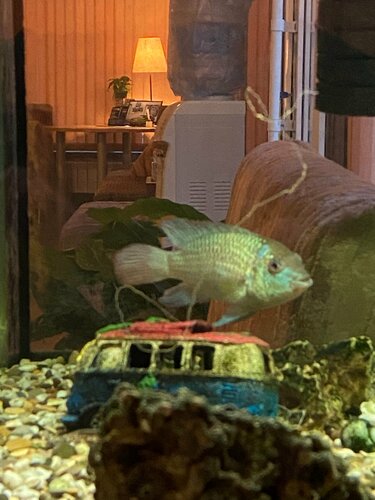 Гостиница Лукино в Подмосковье