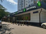 Oculist (Grishina Street, 15), opticial store