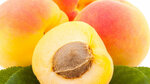 Fresh Fruits Company (21, улица 17, Рас эль Хур Инд. 3, Рас Аль-Хур, эмират Дубай), кейтеринг в Дубае