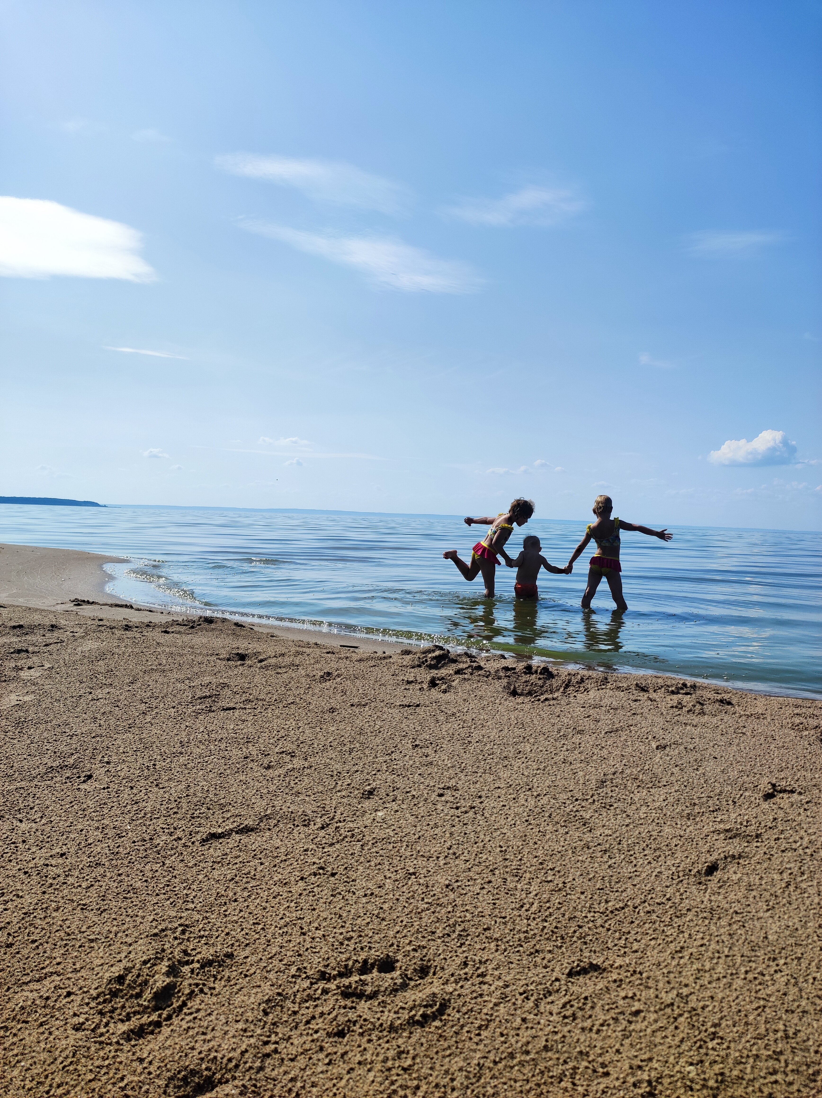 Фото Лесная гавань