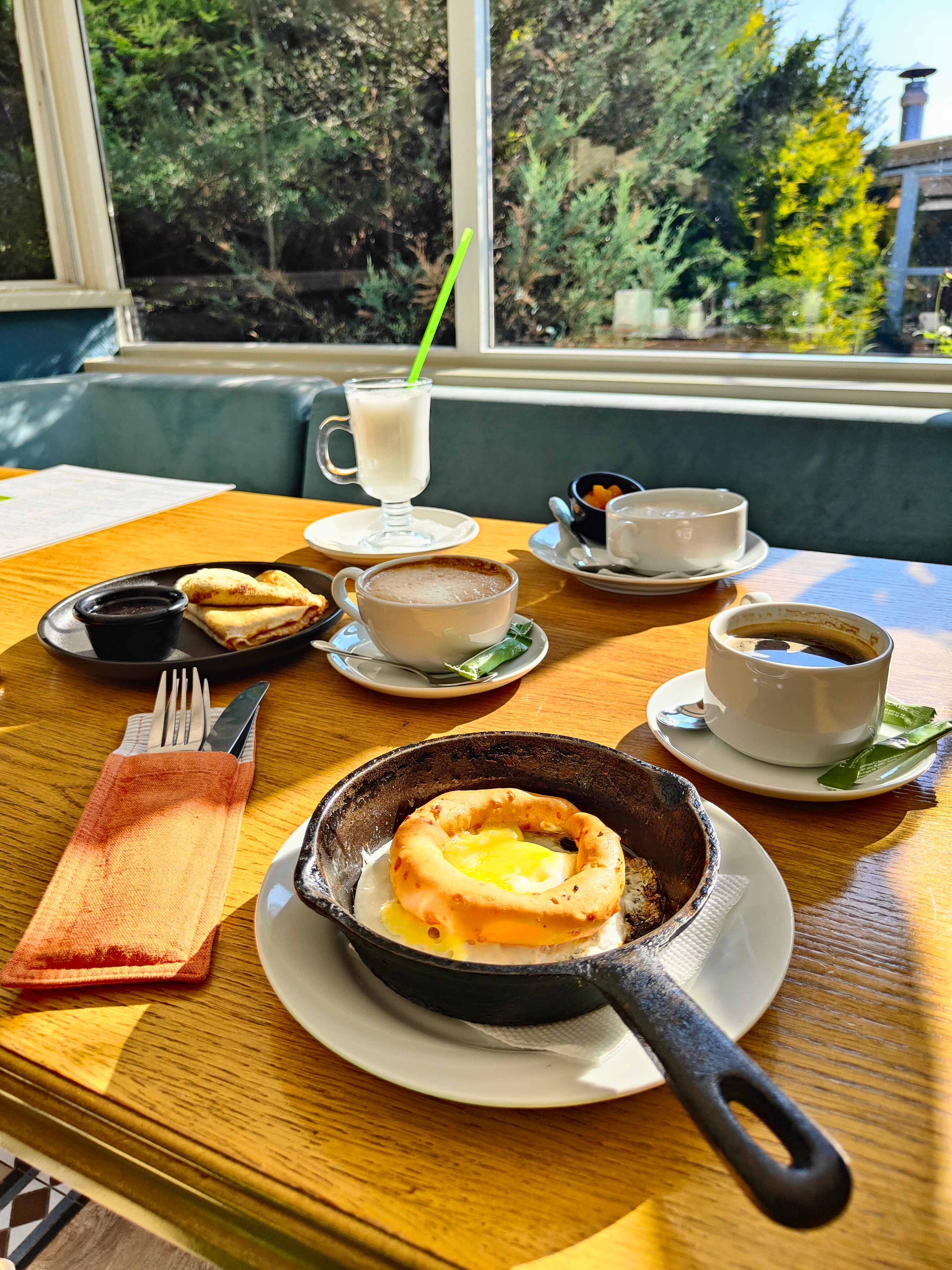 Фото Сытый Ежик