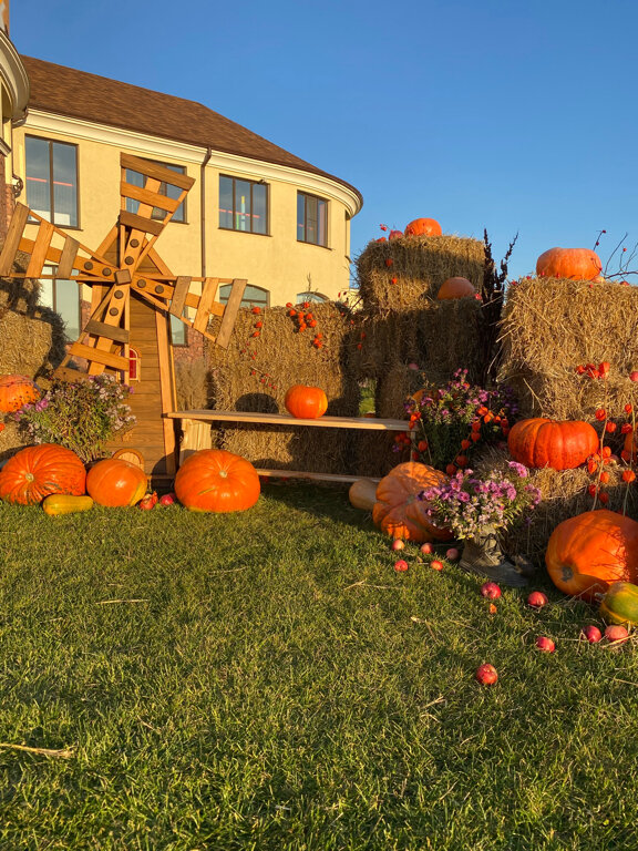 Фото Family Park