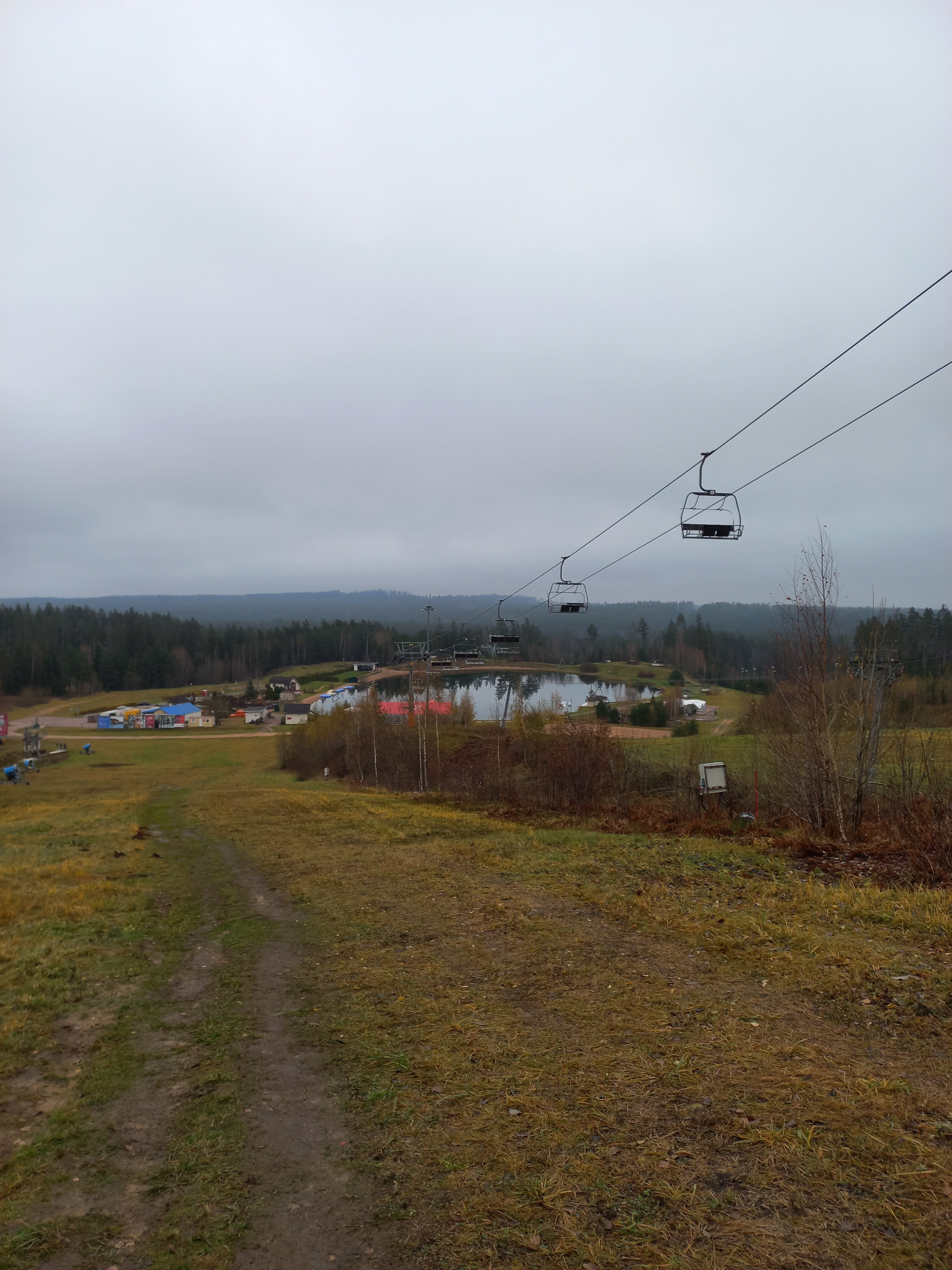 Фото Черника