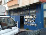 Gumus Furniture and Decoration (İstanbul, Kağıthane, Merkez Mah., Dereüstü Sok., 8), furniture store