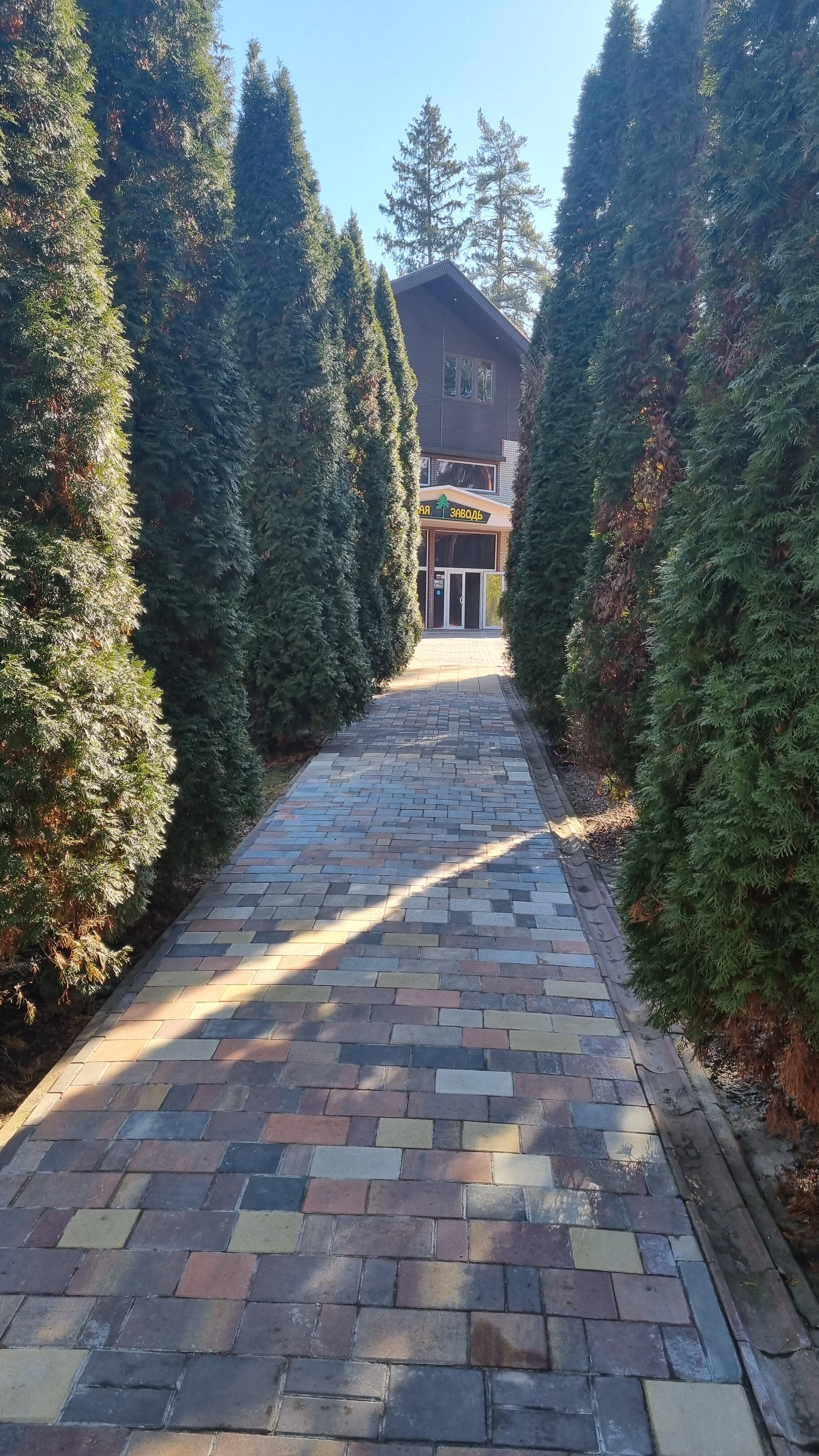 Фото Тихая заводь