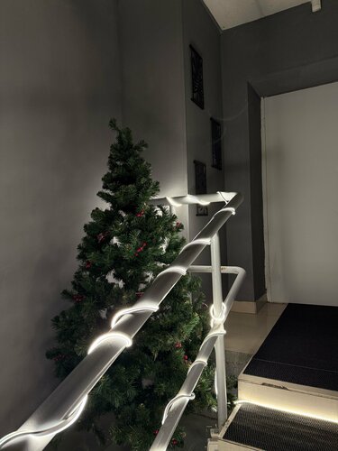 Men uni xotinimning eshagiga qoydim