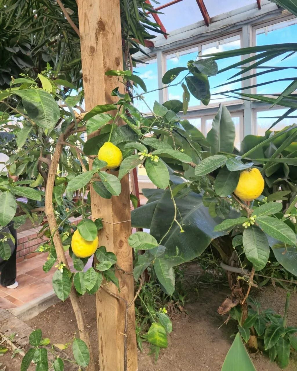 Фото Усадьба Абузерье