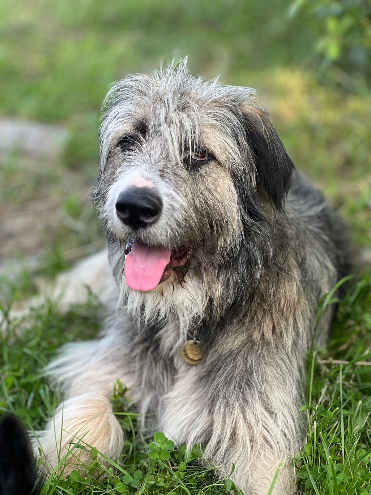 Фото Дом Грёз Тихое место