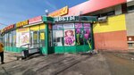 Magazin tsvetov (ulitsa Baumana, 227А), flower shop