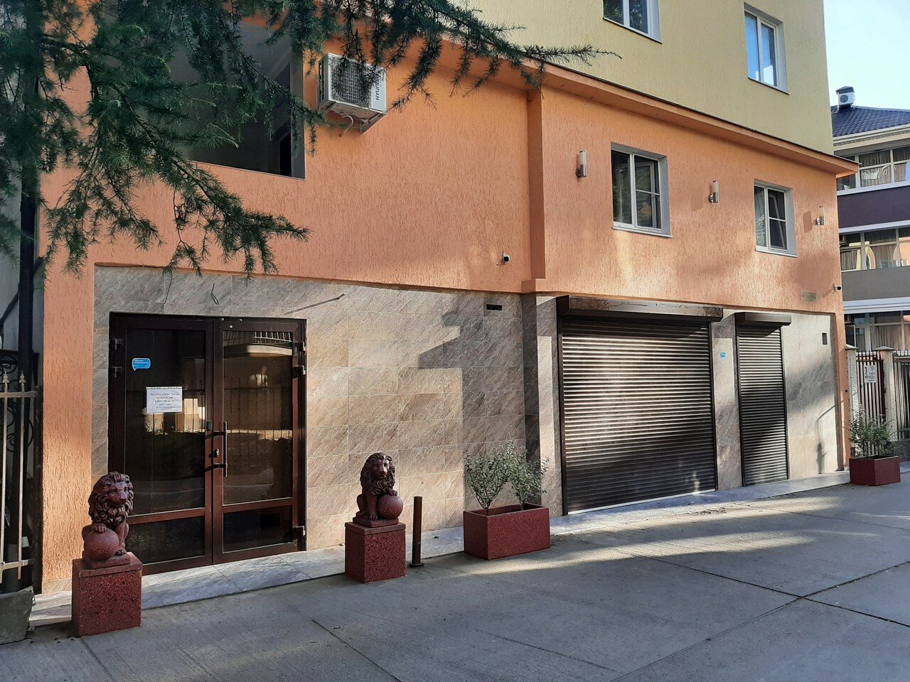 Фото Дельта Нова