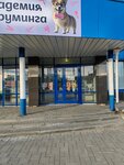 Студия подготовки к школе (Ivana Popova Street, 58), children's developmental center