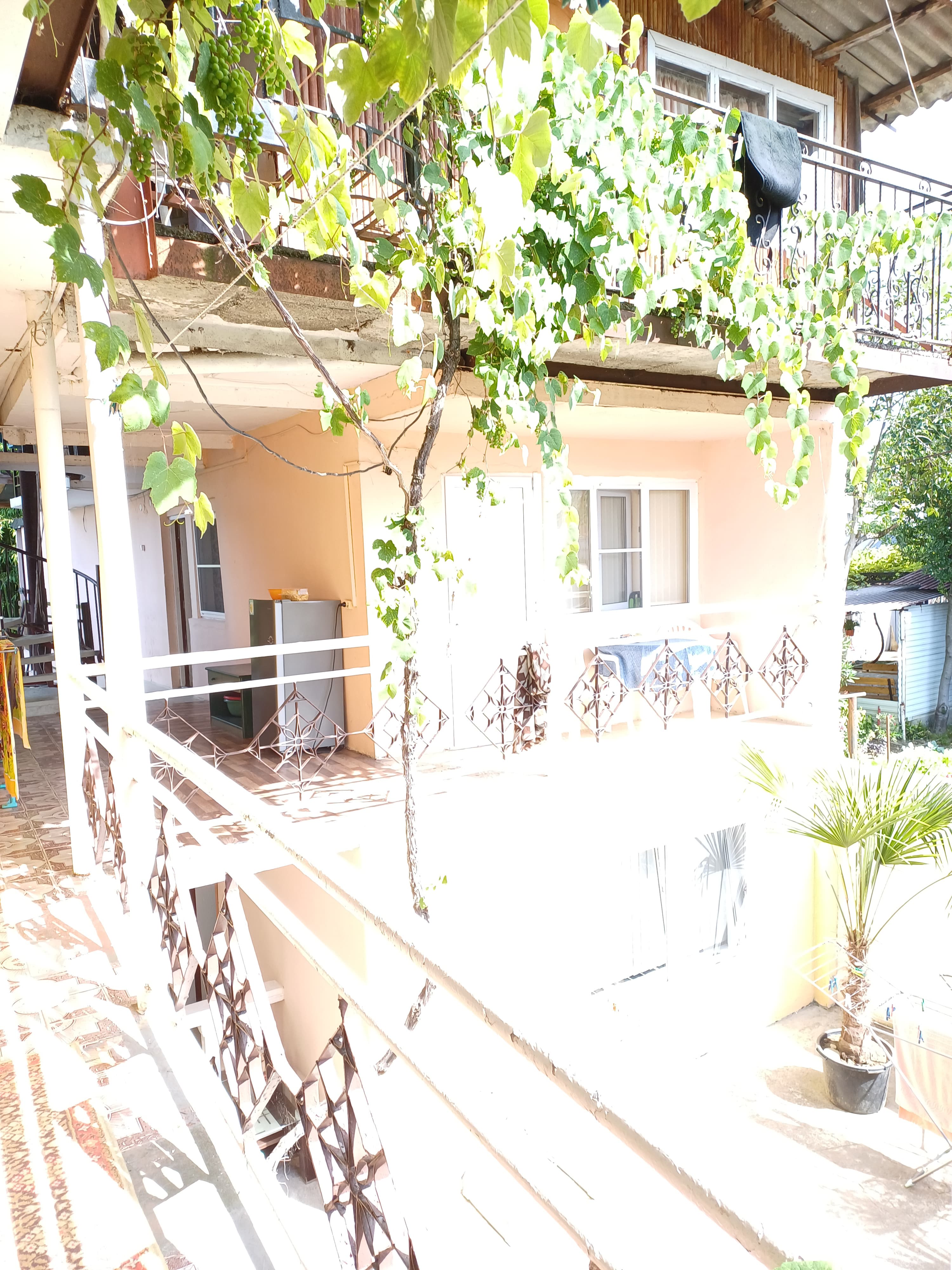 Фото Бамбуковая Роща