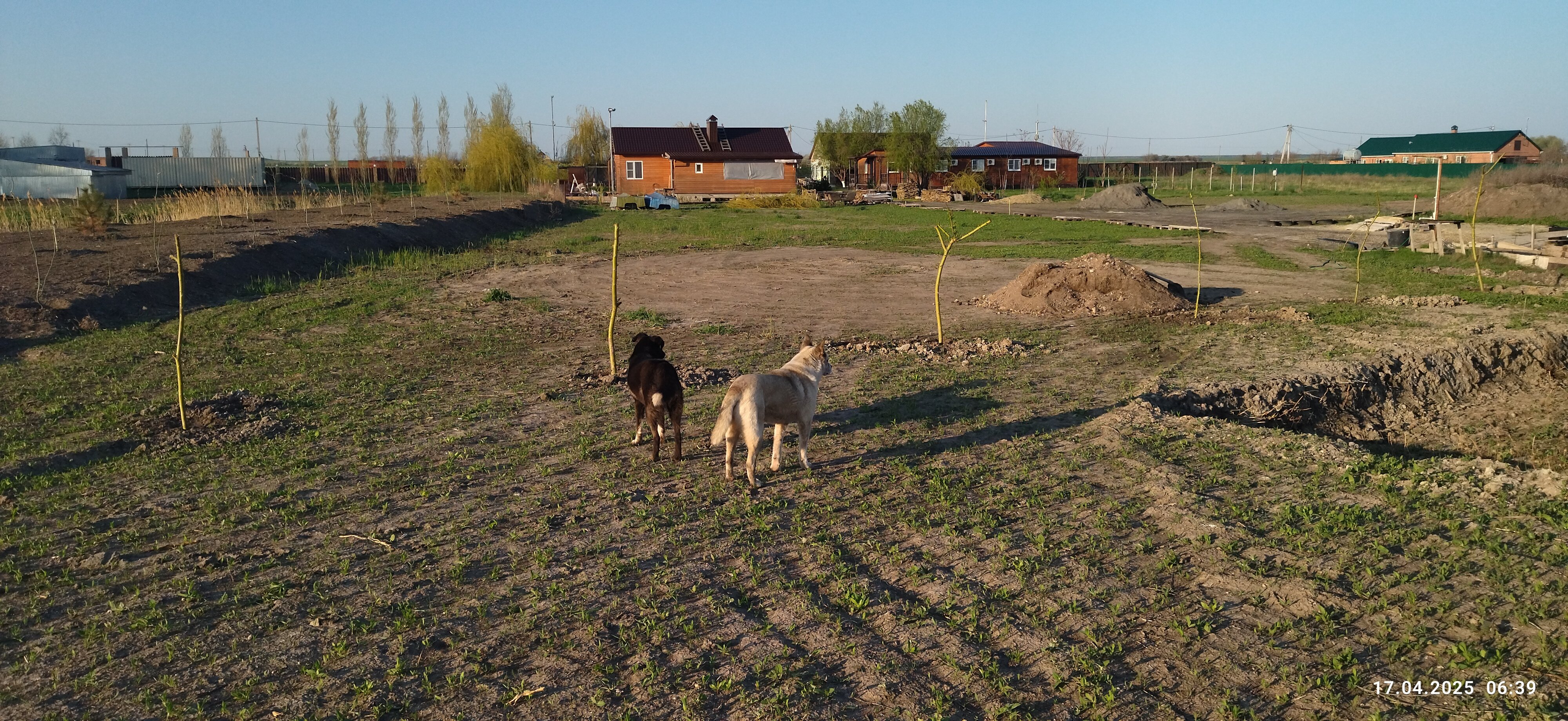 Фото Фазенда