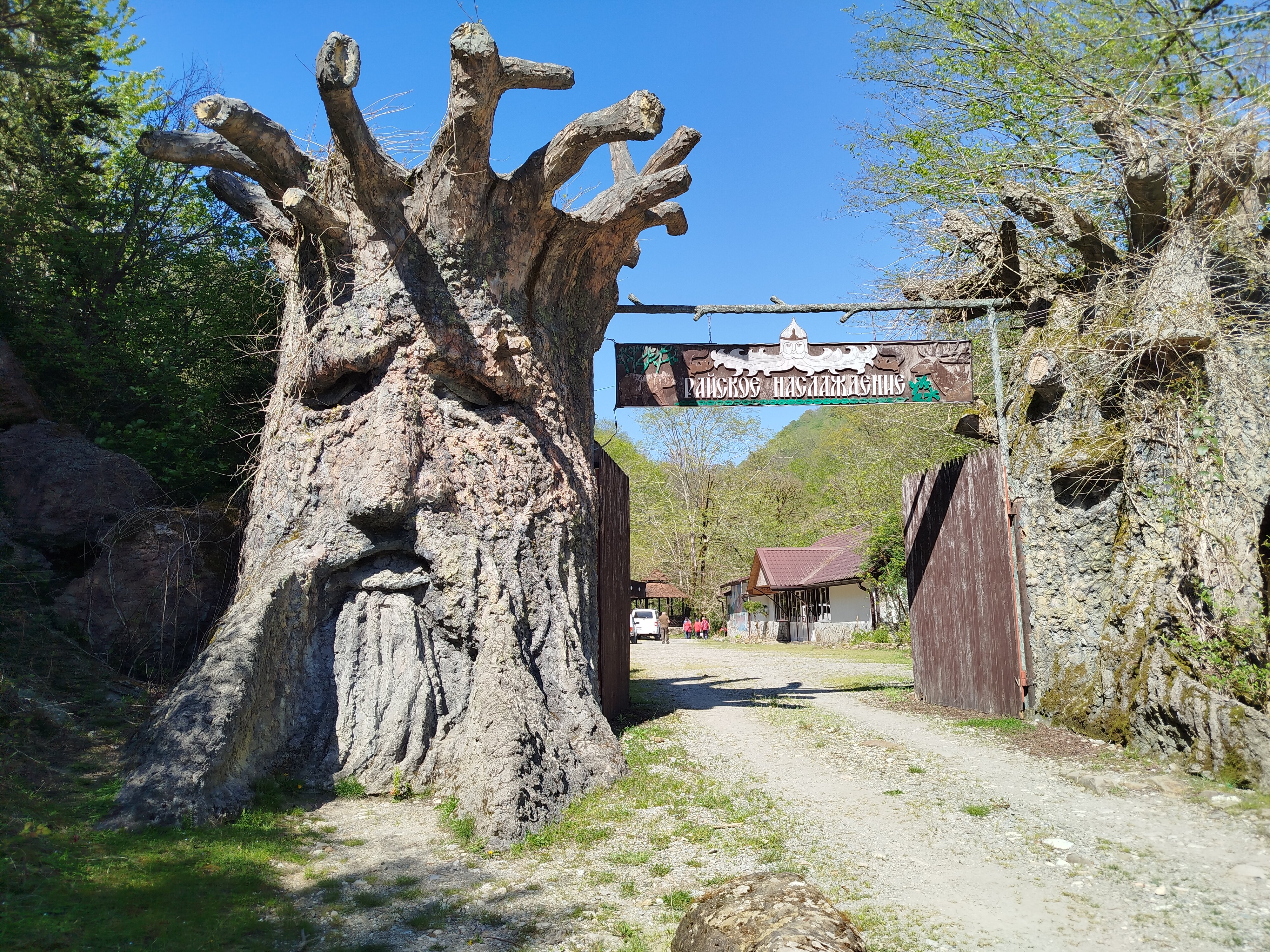 Фото Виллоо Боско