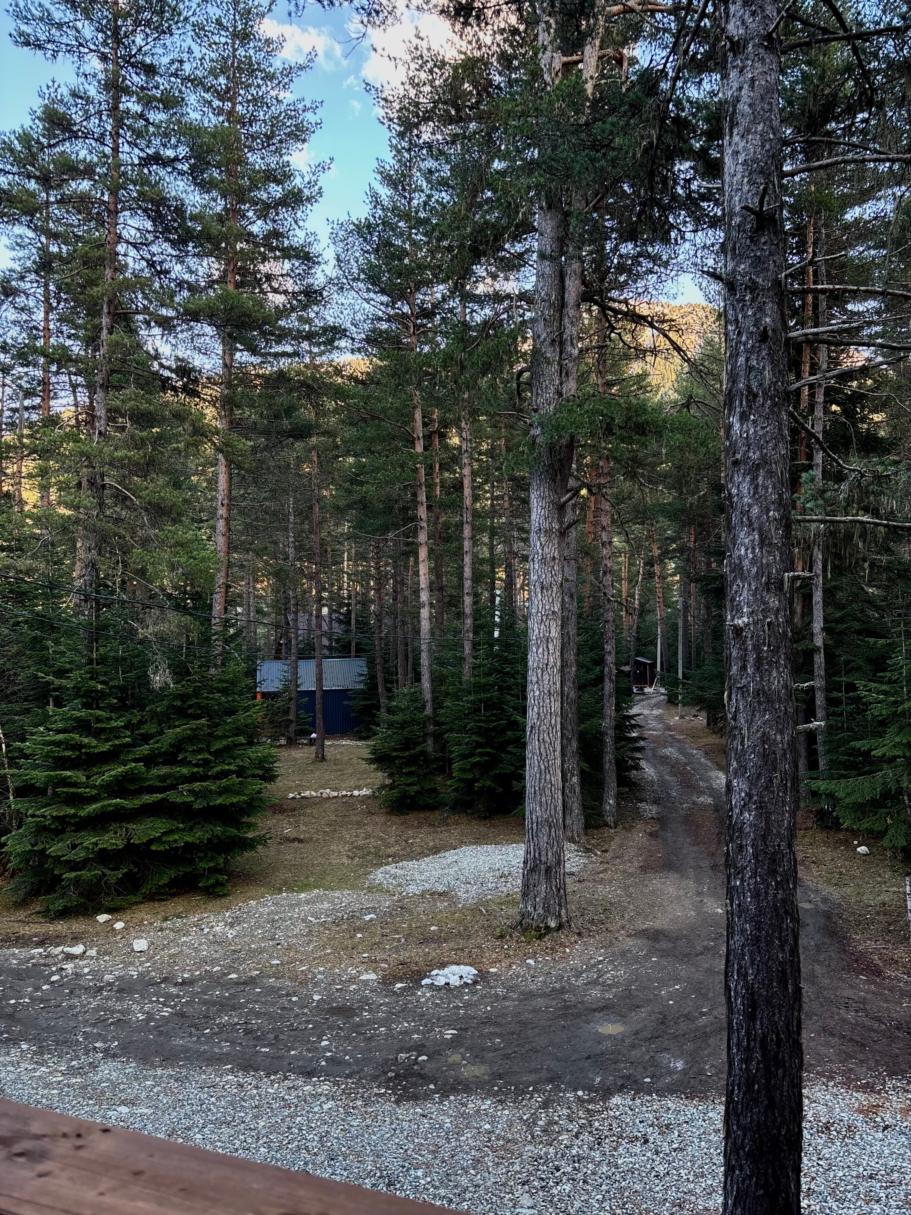 Фото Триумф