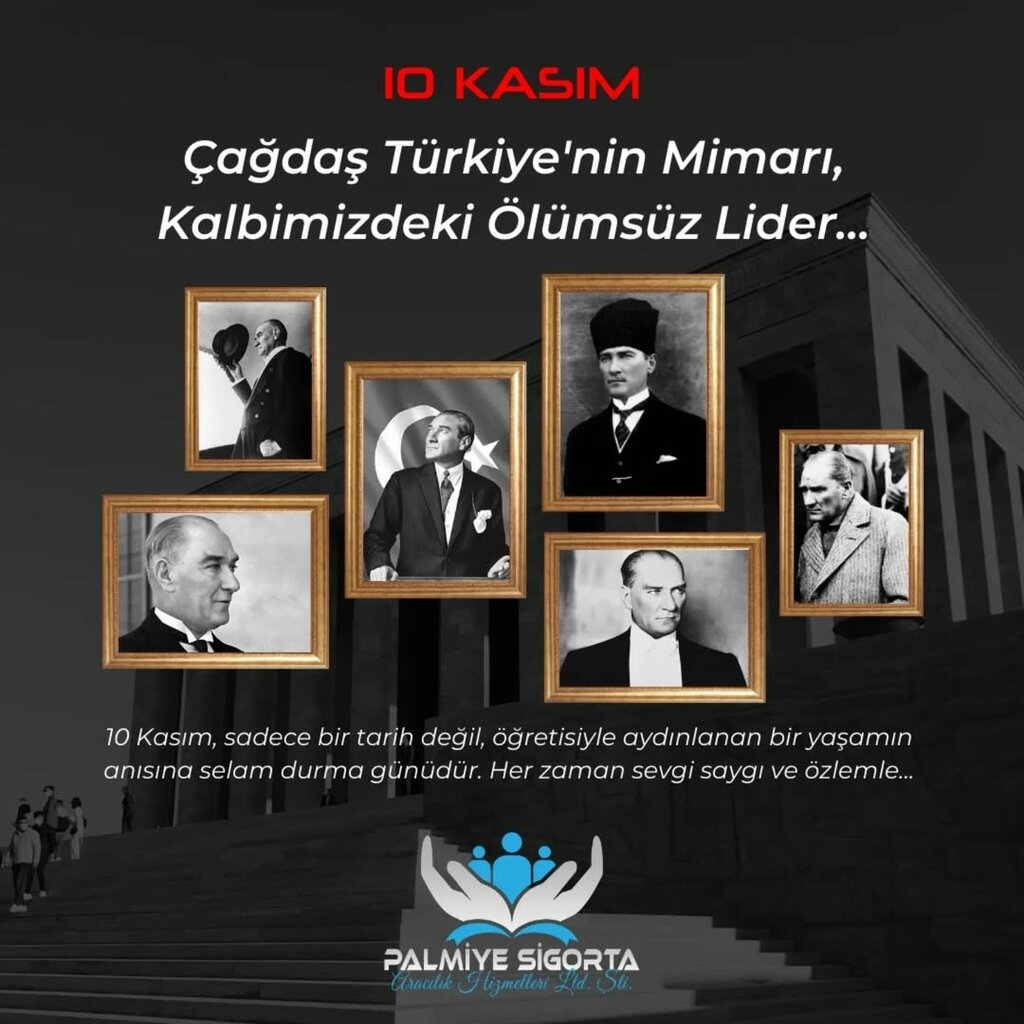 Insurance broker Palm Insurance, Manisa, photo