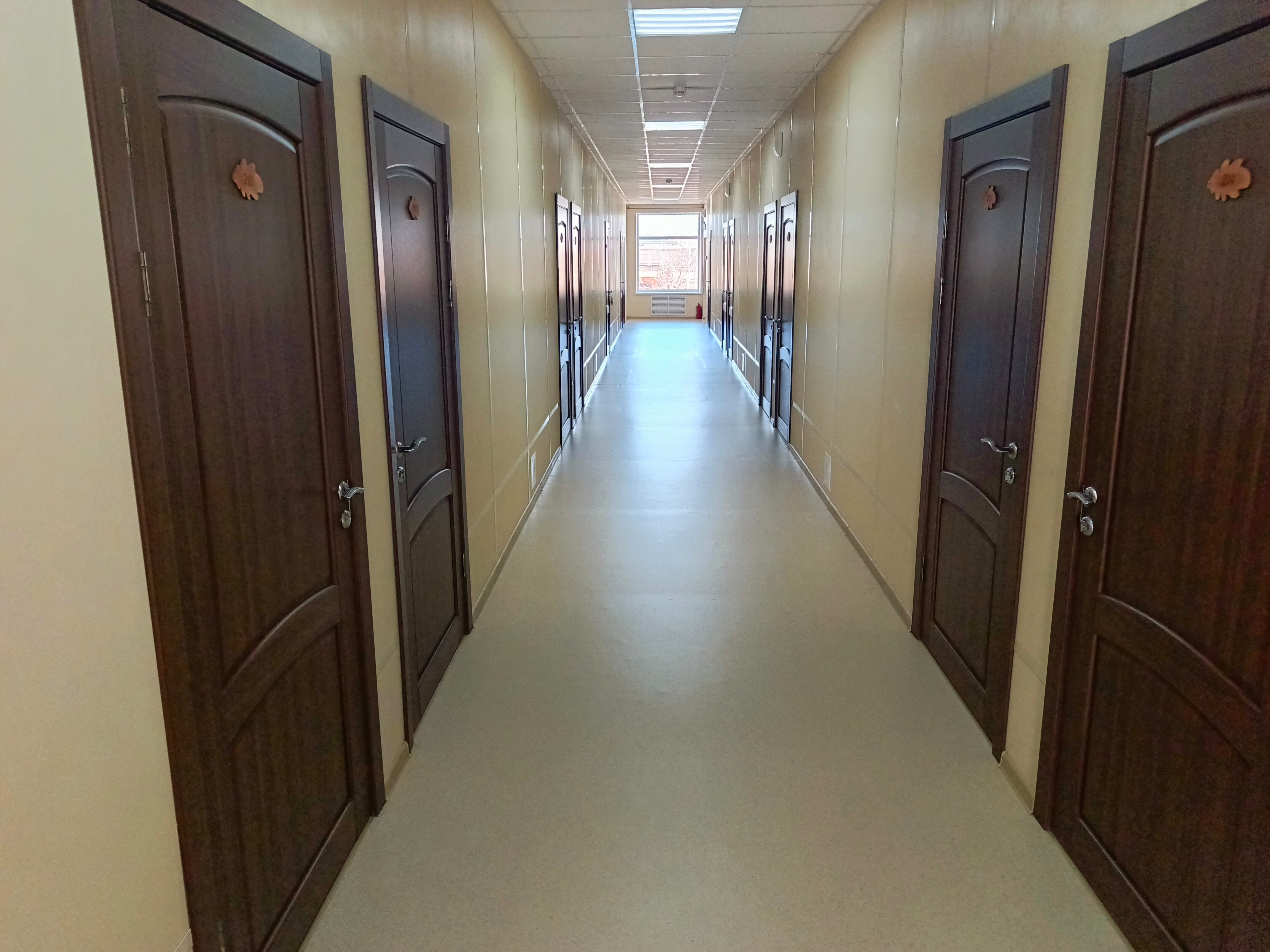 Фото Лукоморье