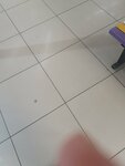 Автомобиль от Медведь Холдинг (Televizornaya ulitsa, 1с4) ، نماذج موضوعية