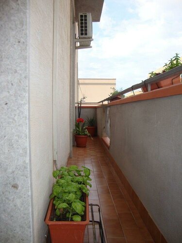 Гостиница Bed and breakfast delle palme в Трапани
