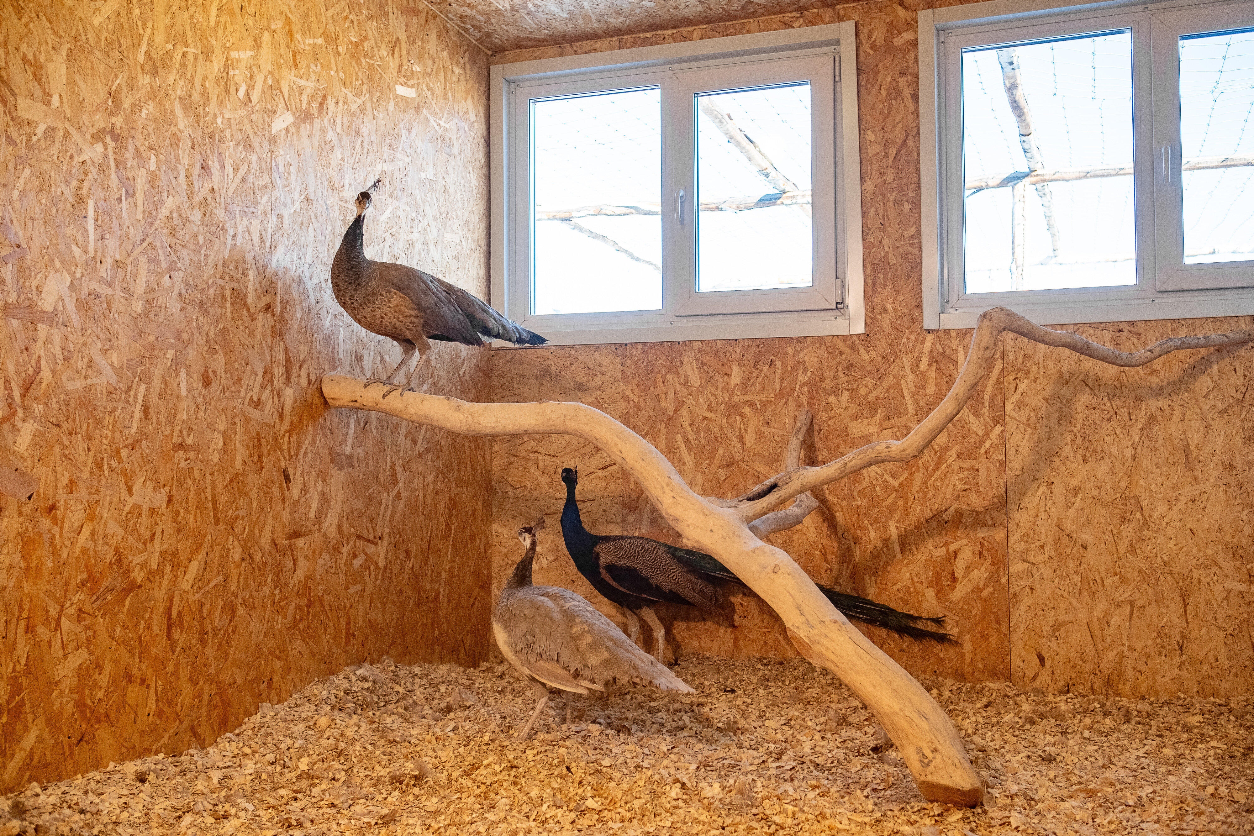 Фото Эко Усадьба Охотничья заимка