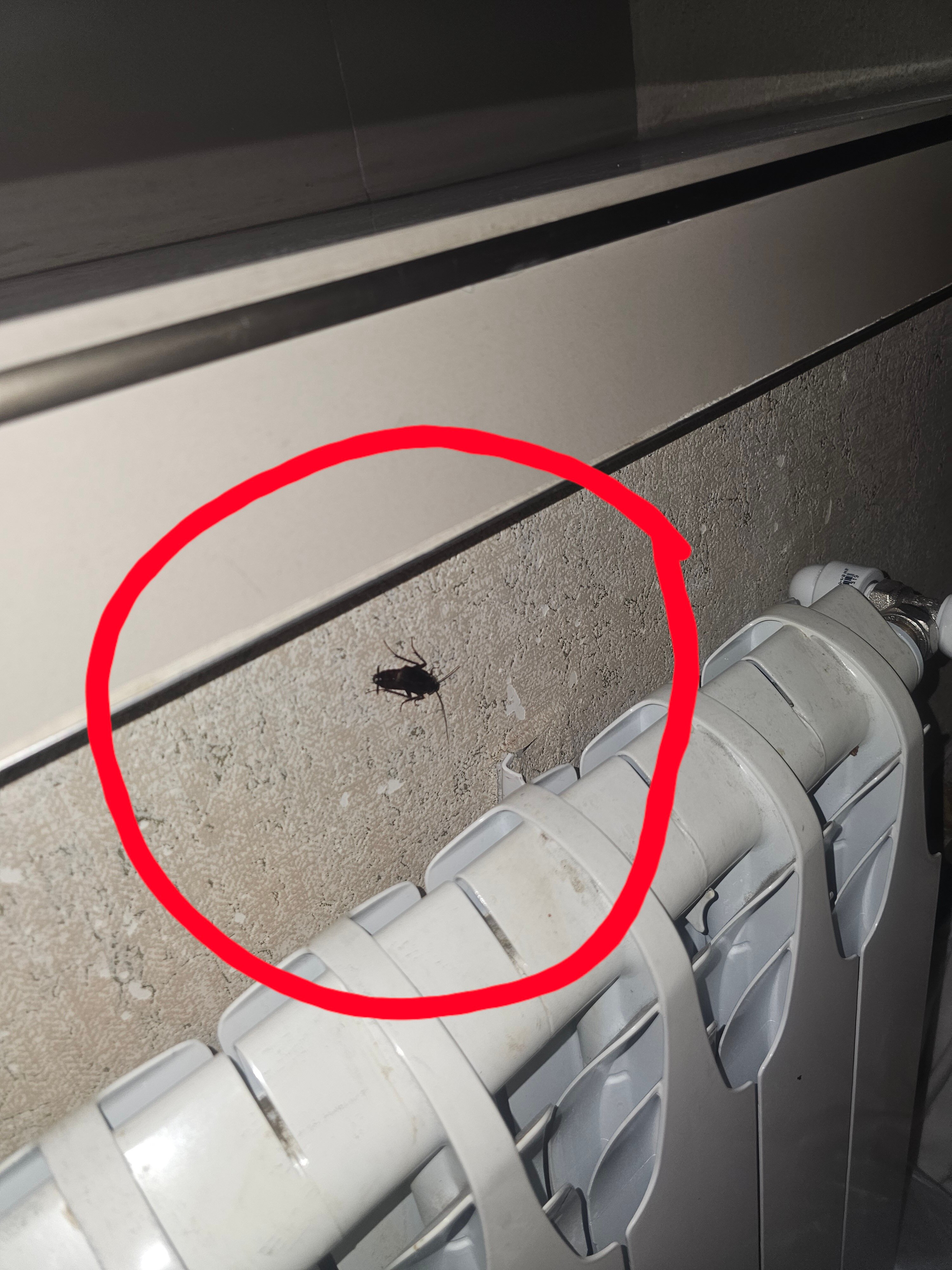 Фото Экипаж