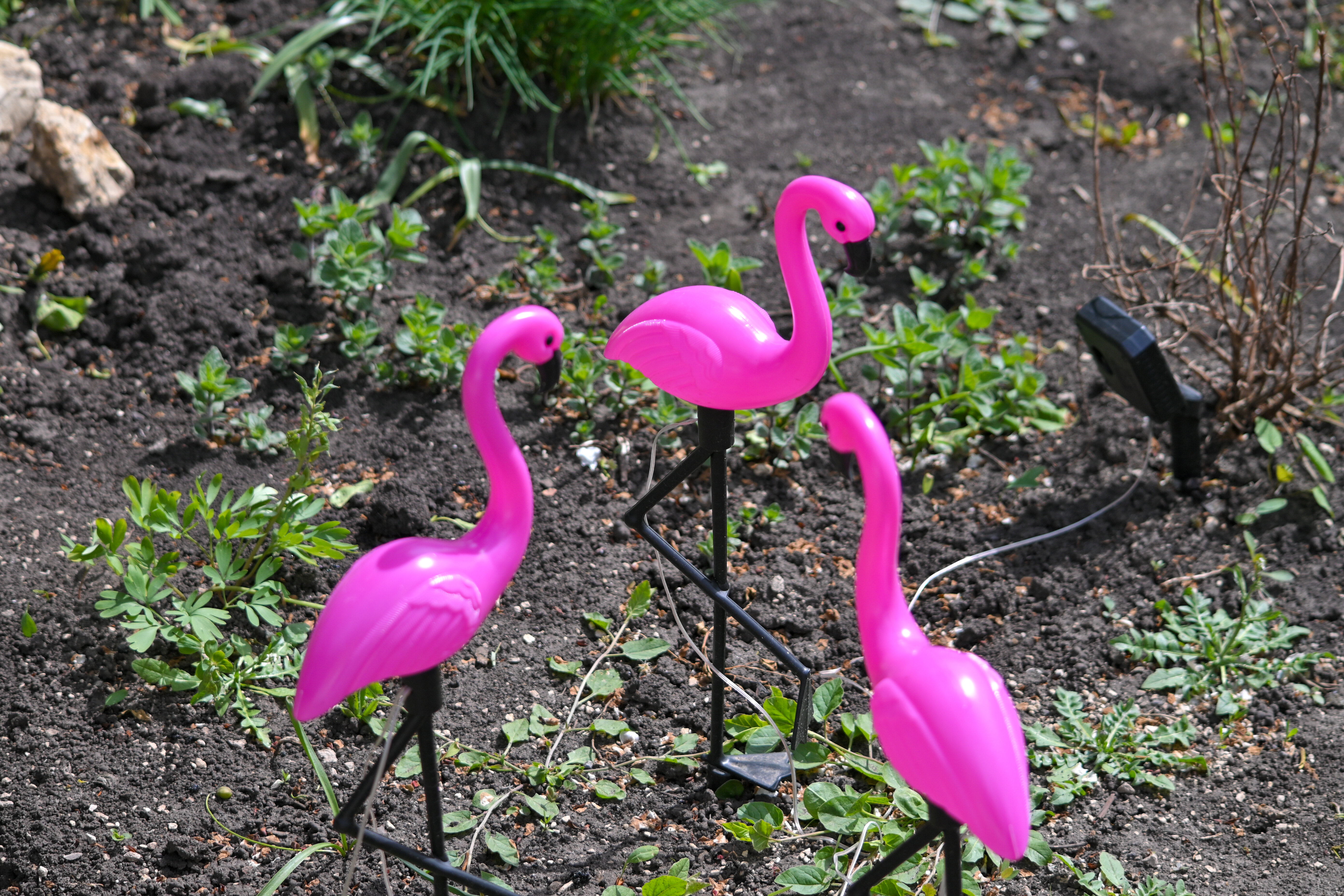 Фото Усадьба Ведрова