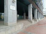 Лектон (Petrogradskaya Embankment, 36А), farmacia