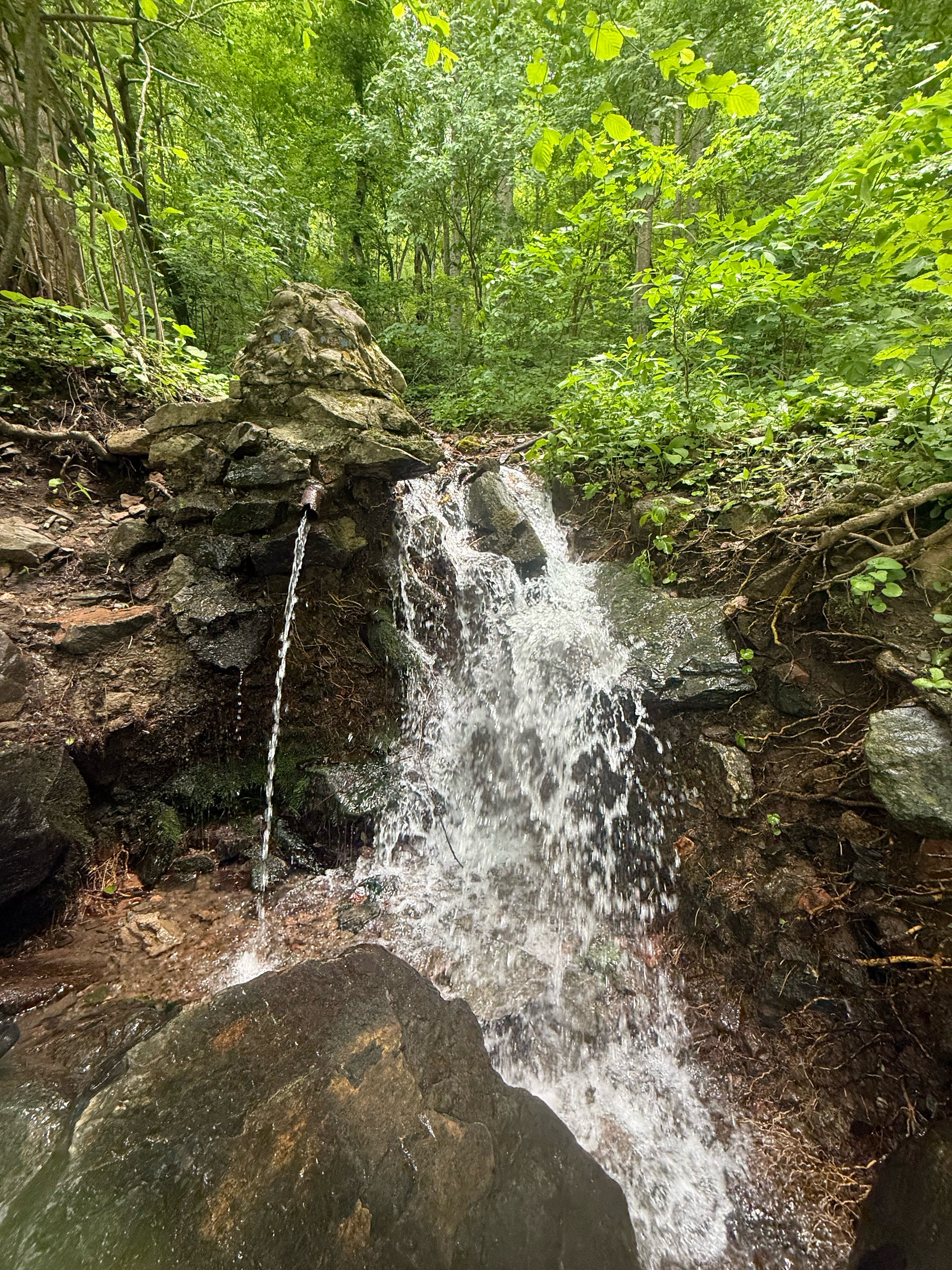 Фото Black Rock Garden