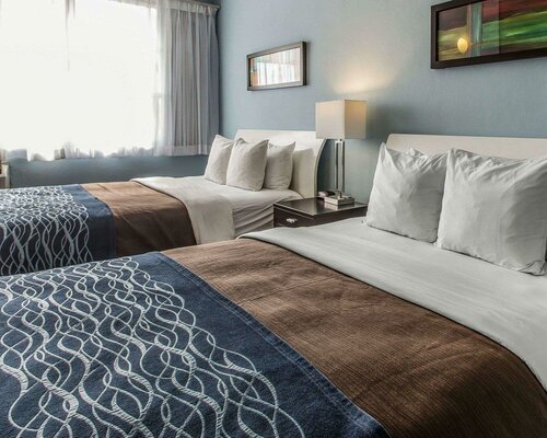 Гостиница Comfort Inn & Suites Levittown