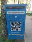 Контейнер для сбора помощи приюту Домашний (Moscow Region, Domodedovo, City Forest), charity container