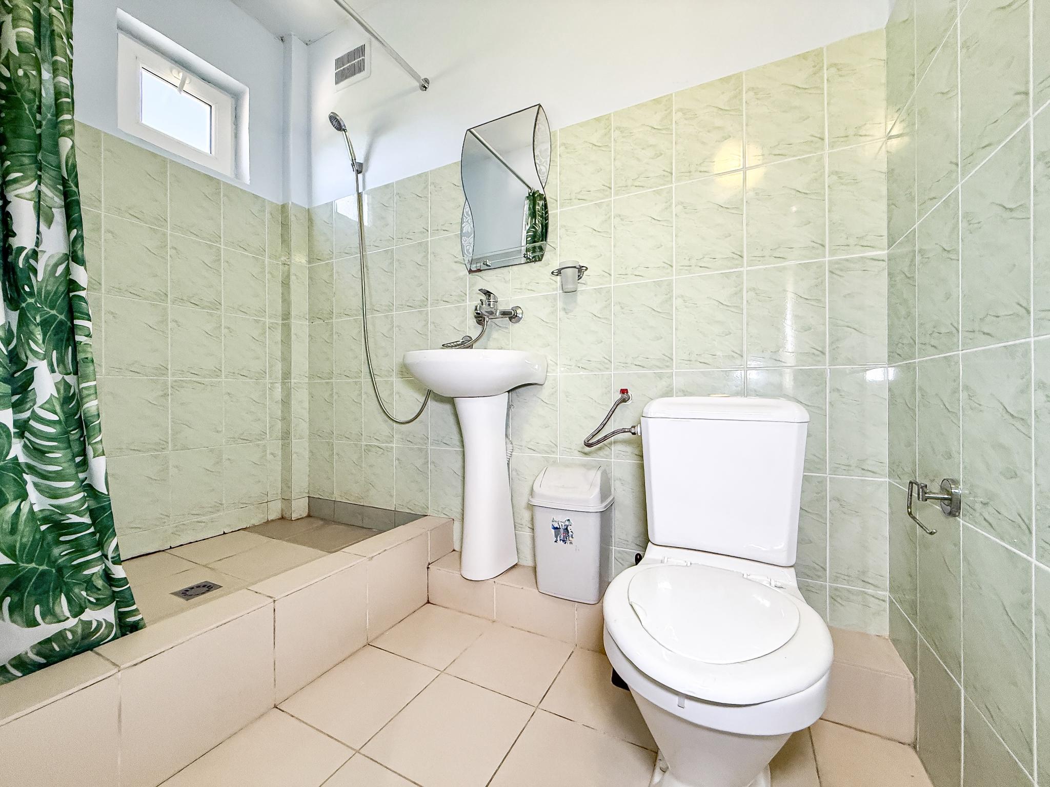 Фото Дружба