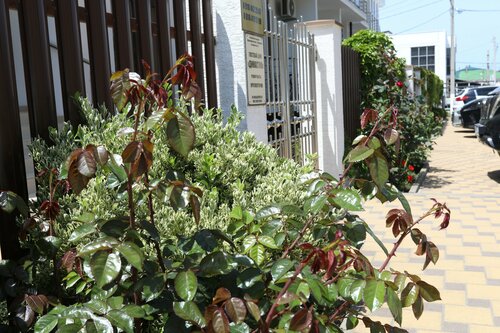 Гостевой дом Династия, корпус 2 в Кабардинке