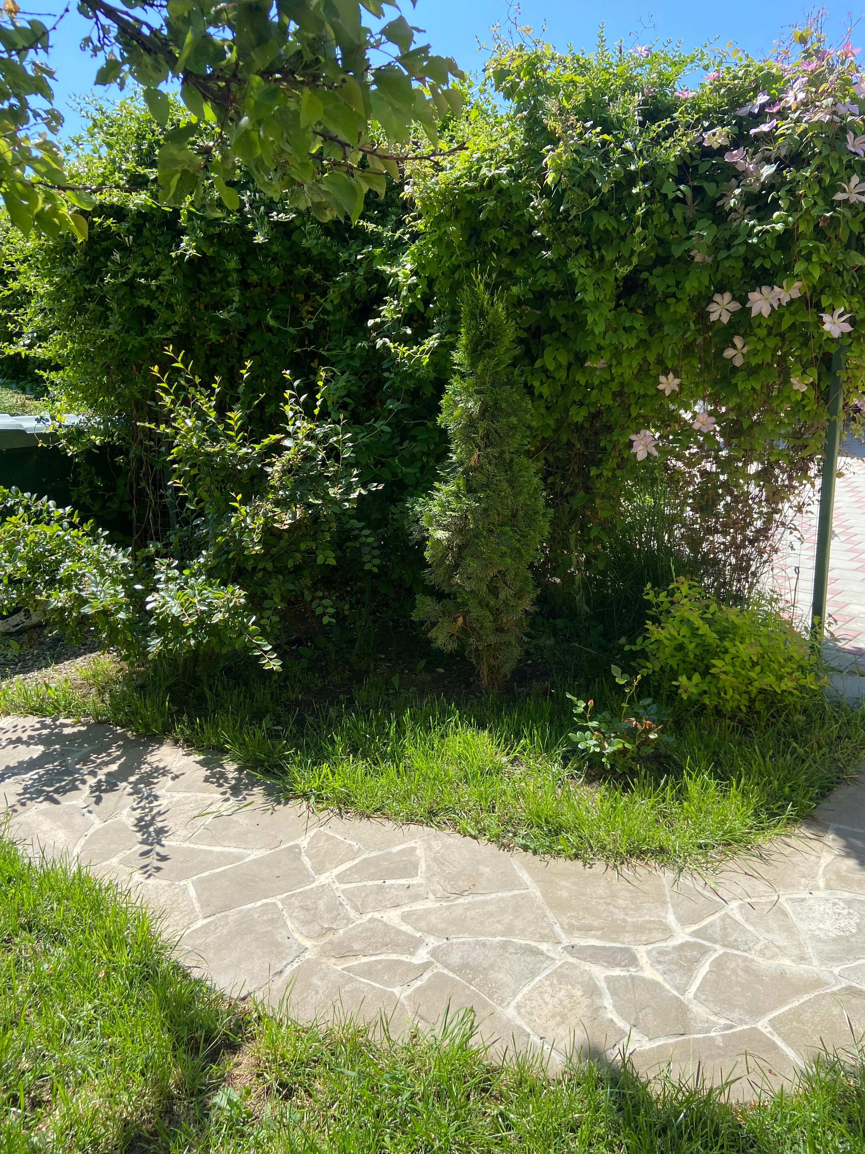 Фото Уютный дворик