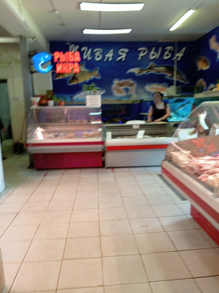 Fish and seafood Живая рыба, Egorievsk, photo