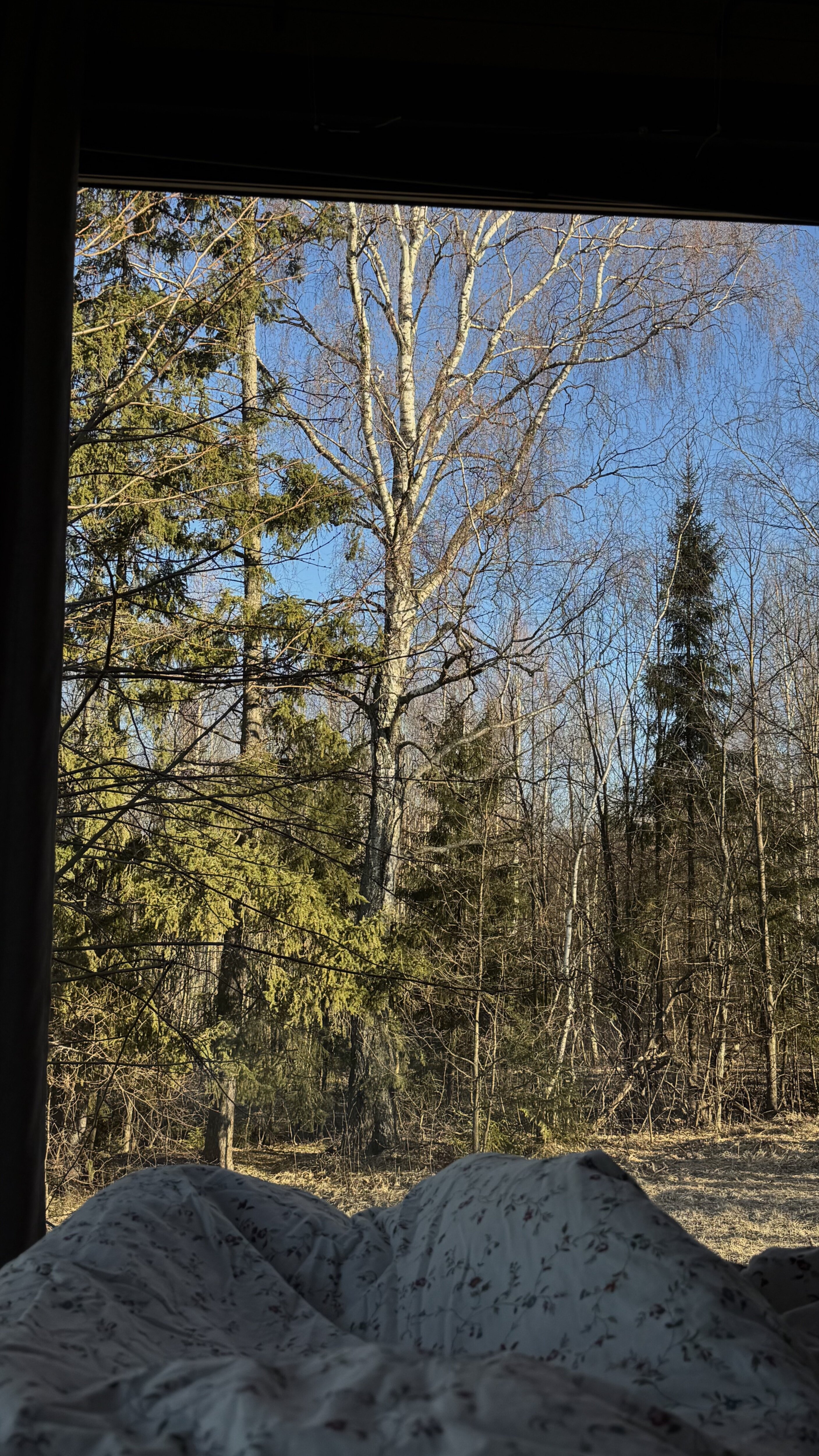 Фото Wooden Home