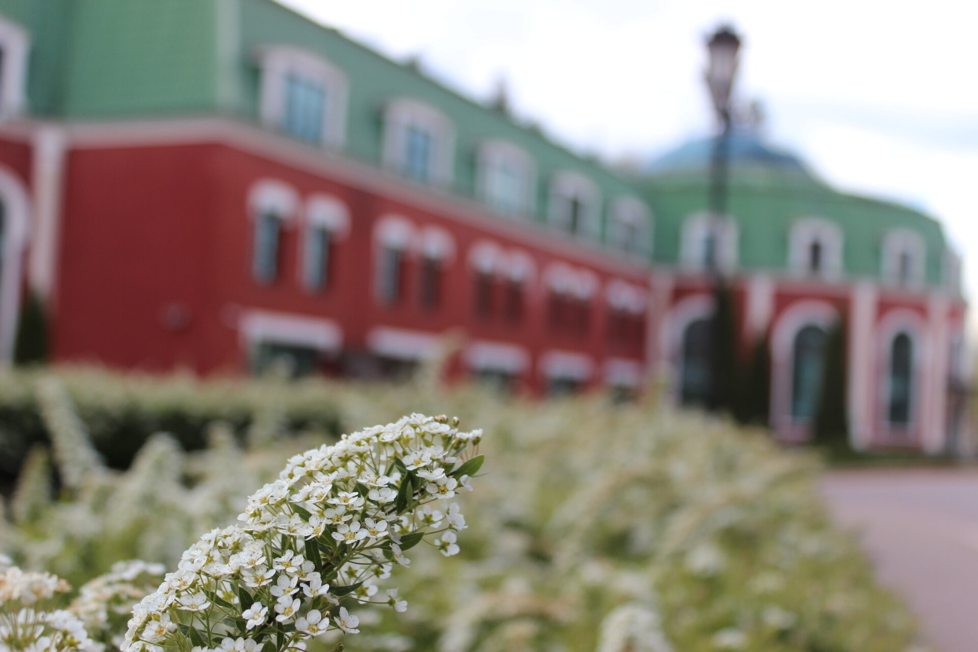 Фото Теплеево Резорт