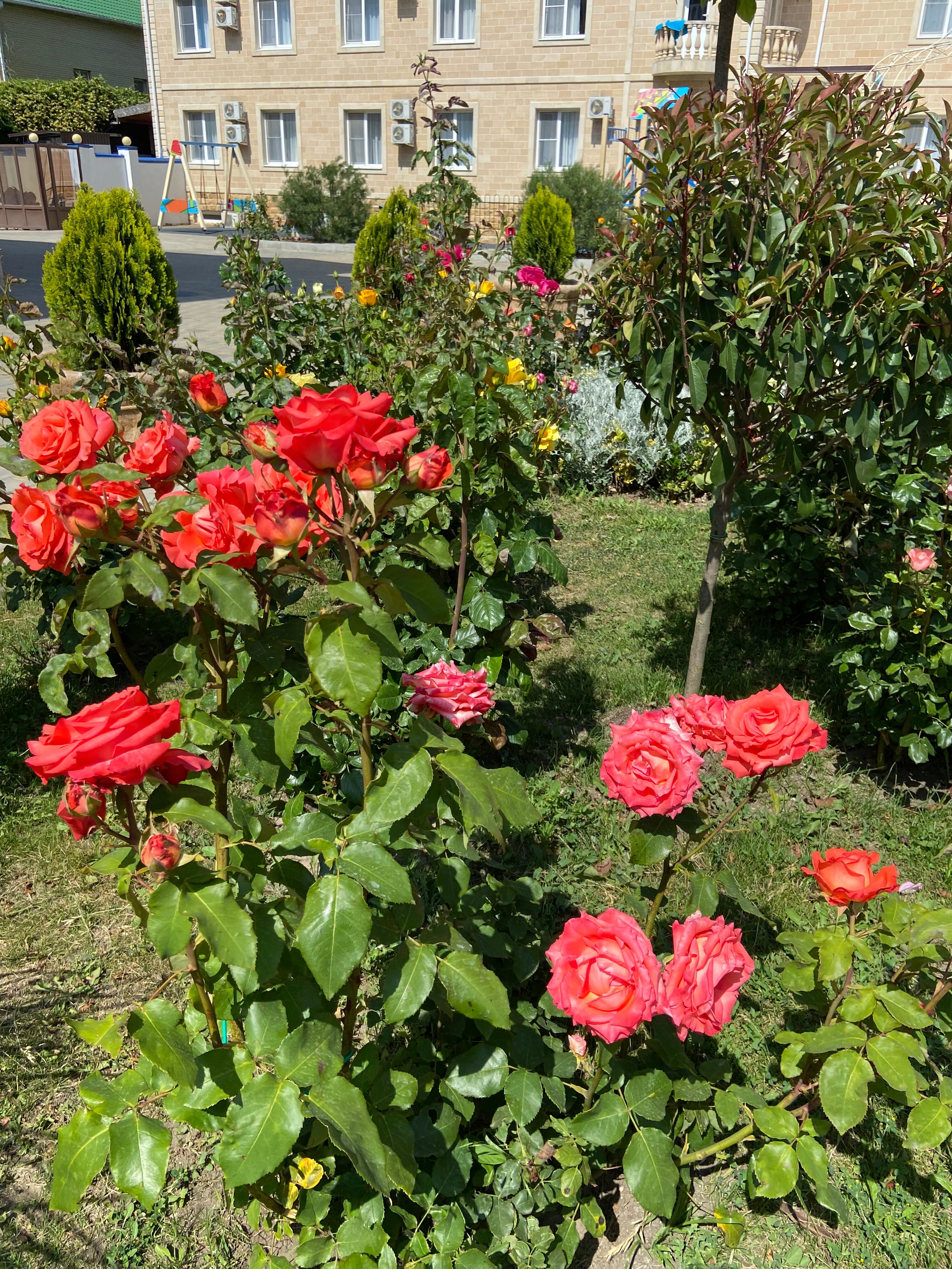 Фото МоРеми