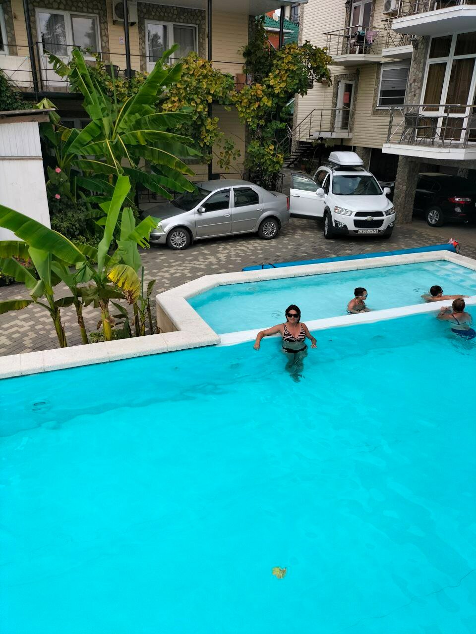 Фото Березы