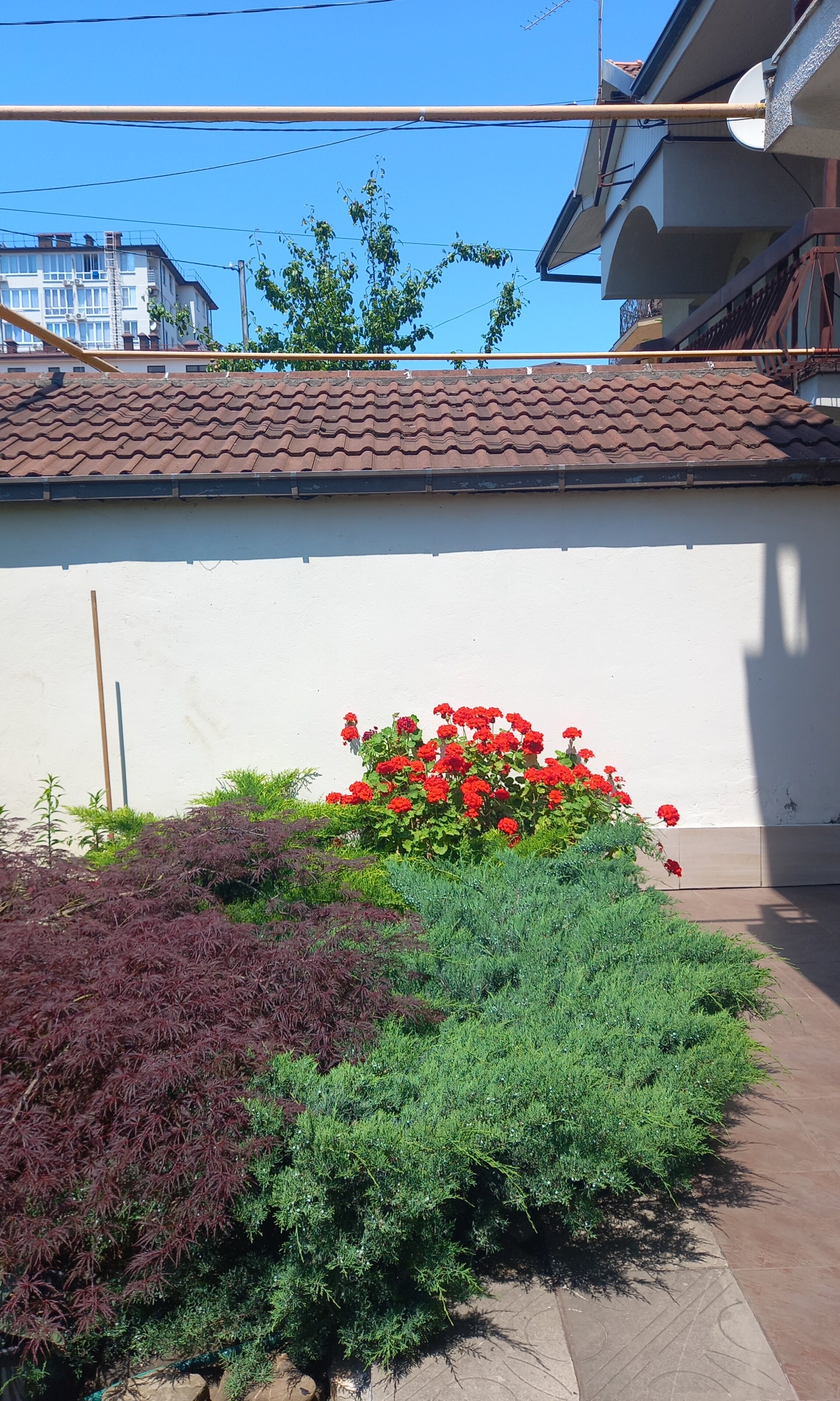 Фото Остров Сочи