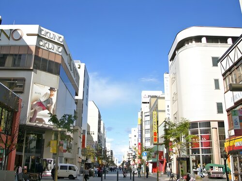 Гостиница Toyoko Inn Hokkaido Asahikawa-eki Higashi-guchi в Асахикаве