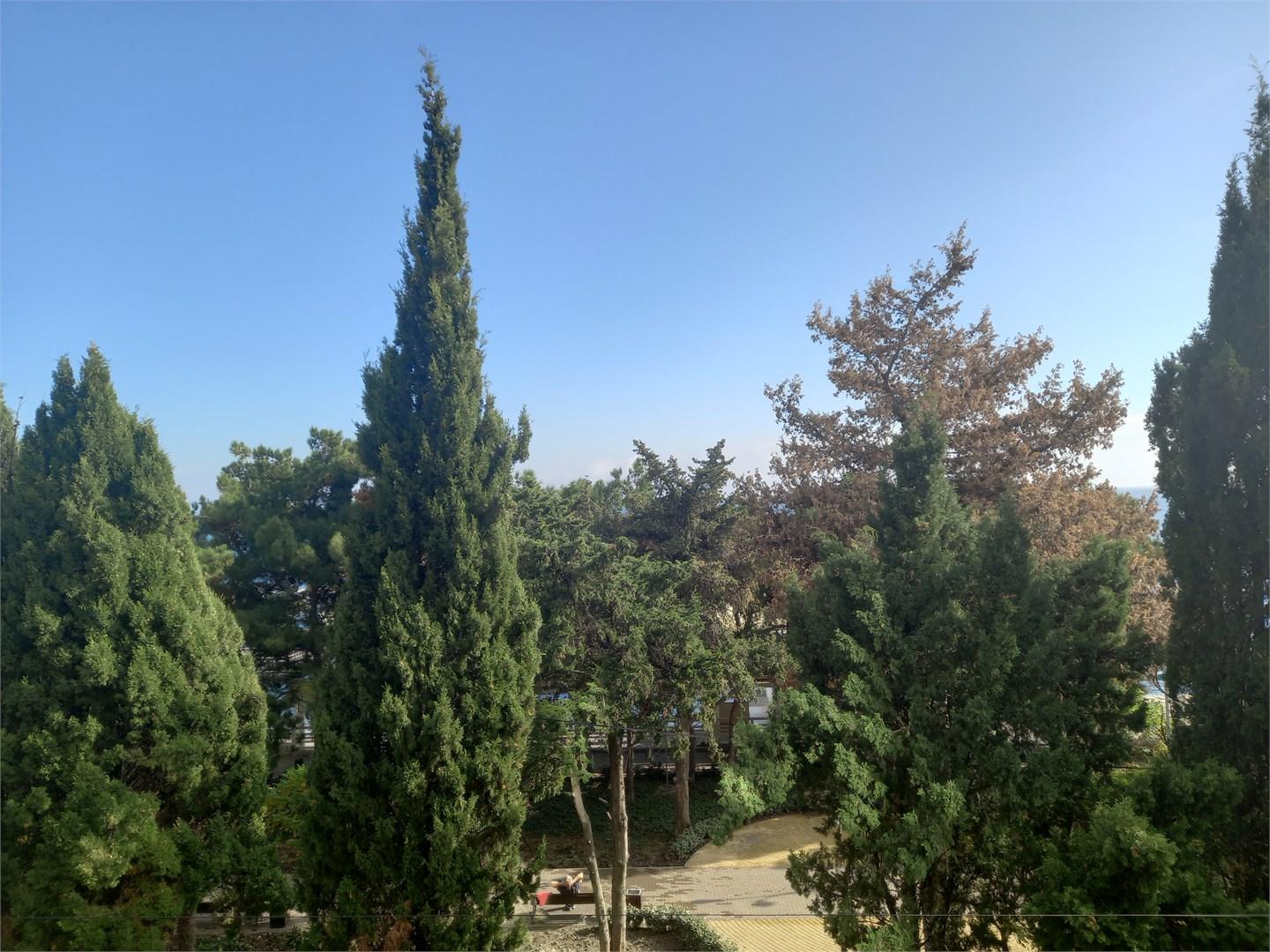 Фото ВК-Отель-Роял