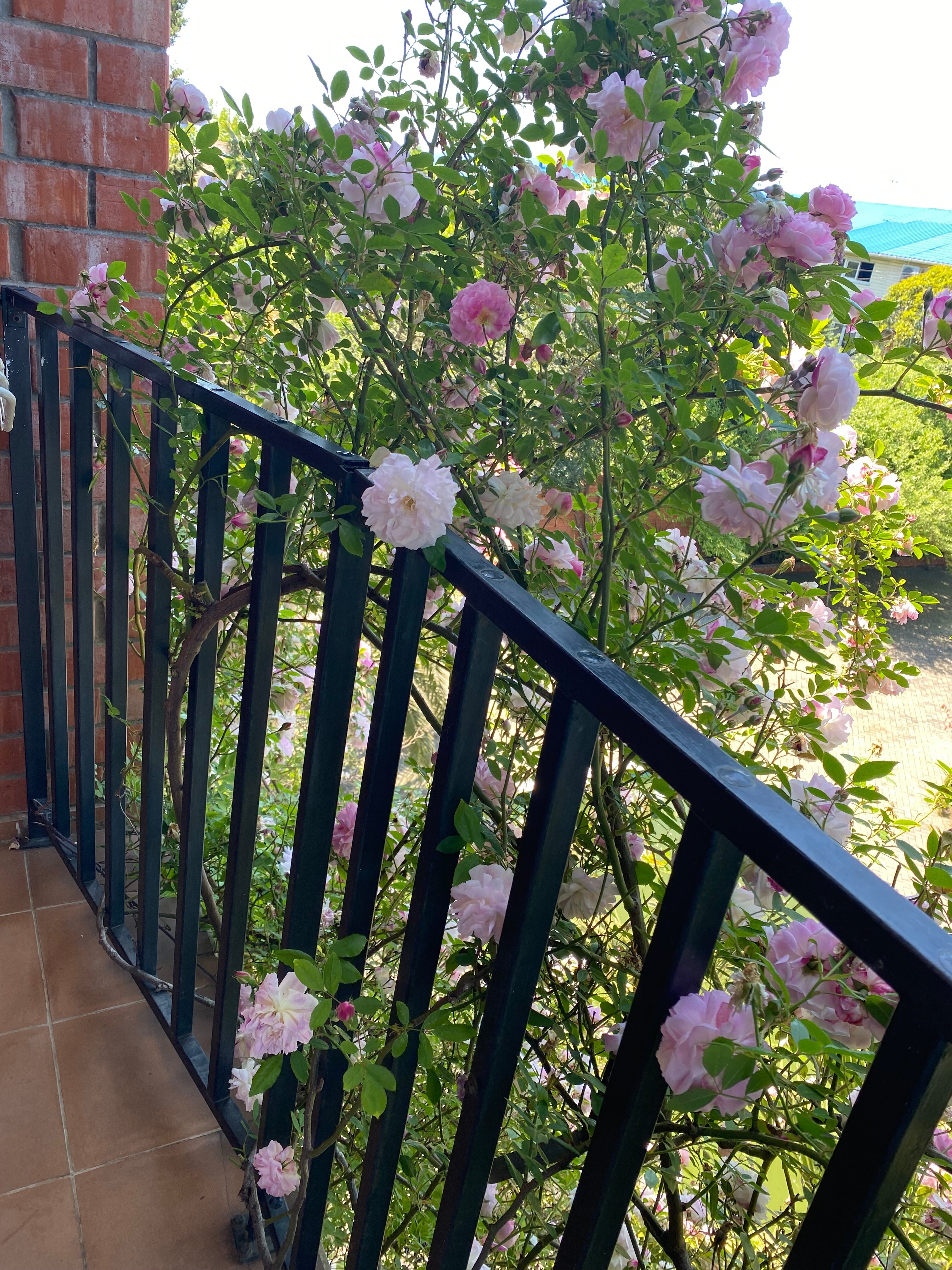 Фото У Моря