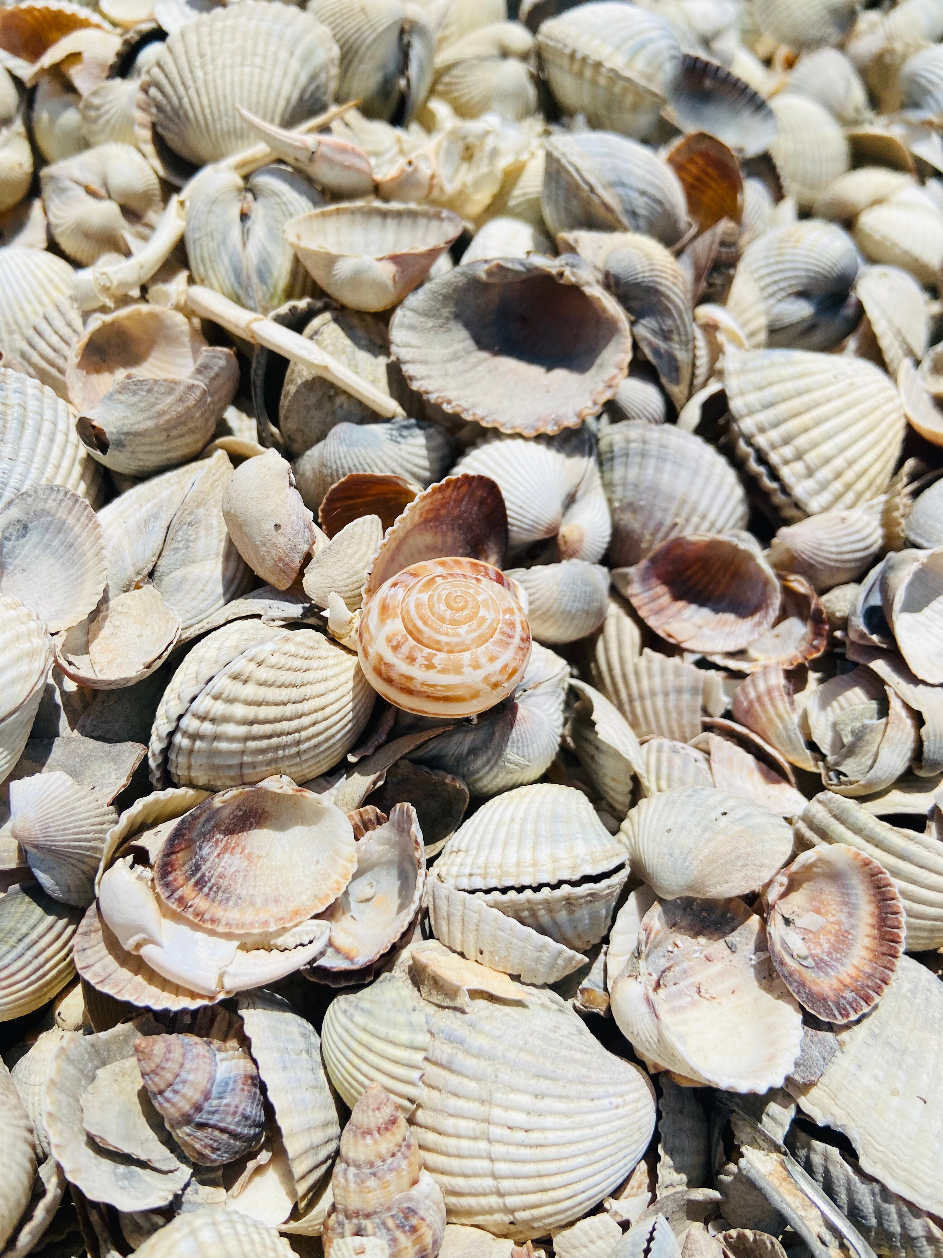 Фото На море