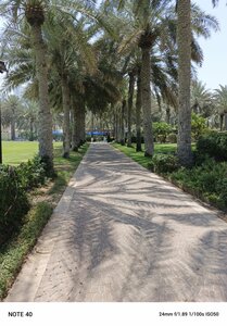 Al Dente (Coral Beach Resort, Al Muntazah, Al Hyrah, Sharjah), restaurant